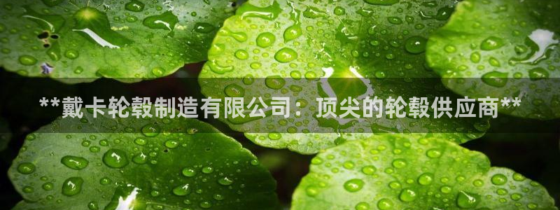 彩神v天天：**戴卡轮毂制造有限公司：顶尖的轮毂供应商**