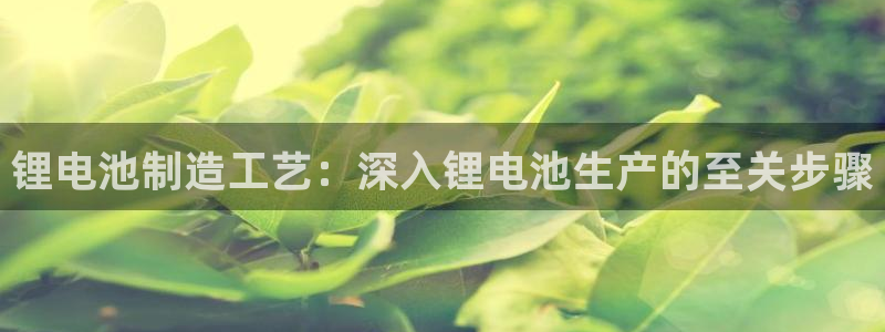 彩神赢钱了吗
