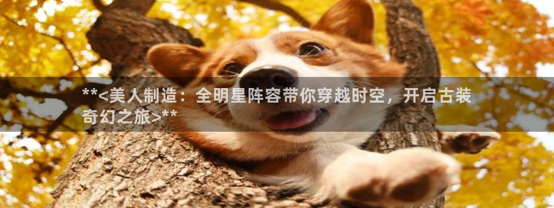 彩神是正规平台吗