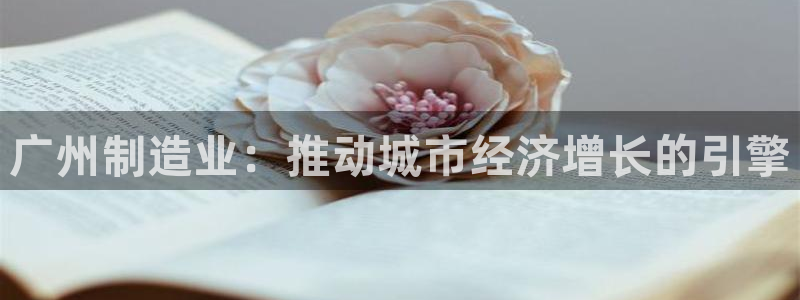彩神数码科技有限公司：广州制造业：推动城市经济增长的引擎