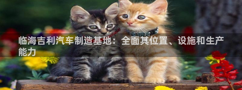 彩神购彩-购彩大厅入口：临海吉利汽车制造基地：全面其位置、设施和生产
能力