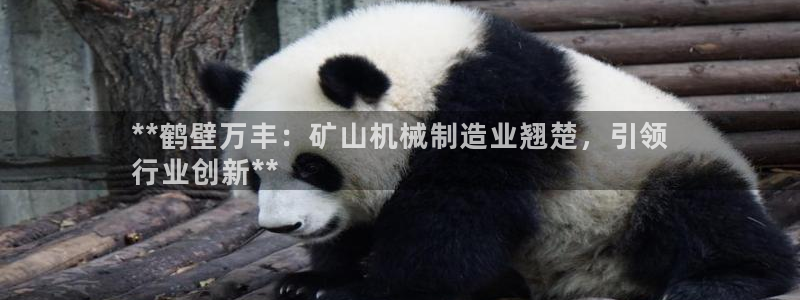 彩神Vii购彩-购彩大厅：**鹤壁万丰：矿山机械制造业翘楚，