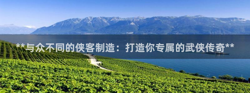 v大发彩神8iii：**与众不同的侠客制造：打造你专属的武侠传奇**