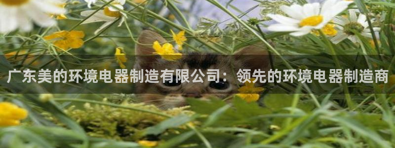 彩神vll购彩大厅大众：广东美的环境电器制造有限公司：领先的环境电器制造商
