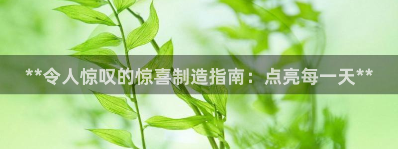 彩神vll官网-最新版app下载：**令人惊叹的惊喜制造指南