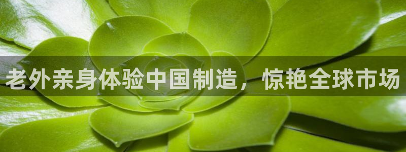 彩神v8是一个什么平台啊：老外亲身体验中国制造，惊艳全球市场