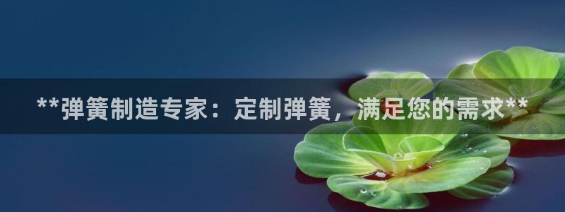 彩神v8首页：**弹簧制造专家：定制弹簧，满足您的需求**