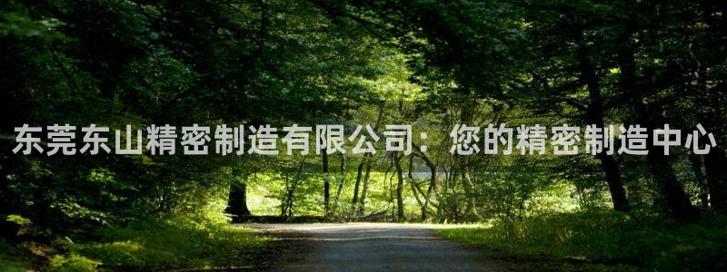 彩神iv能赚钱吗：东莞东山精密制造有限公司：您的精密制造中心