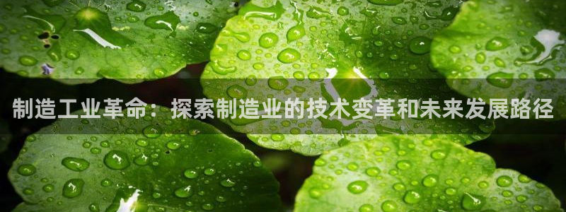 彩神v8是一个什么平台：制造工业革命：探索制造业的技术变革和未来发展路径