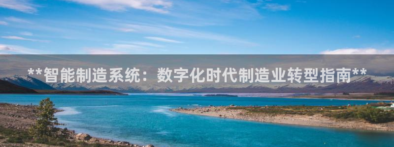 彩神8购彩-购彩大厅：**智能制造系统：数字化时代制造业转型指南**
