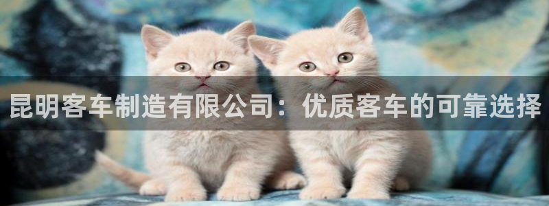 彩神v8是一个什么平台游戏