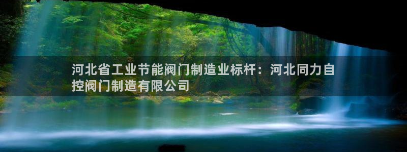 彩神v8iii：河北省工业节能阀门制造业标杆：河北同力自
控