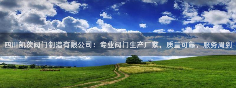 彩神8是正规平台吗安全吗：四川凯茨阀门制造有限公司：专业阀门生产厂家，质量可靠，服务周到