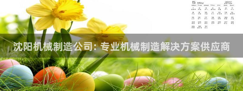 彩神vll官网-最新版app下载：沈阳机械制造公司: 专业机械制造解决方案供应商