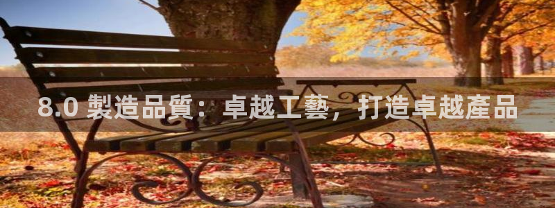 彩神V集团有限公司：8.0 製造品質：卓越工藝，打造卓越產品