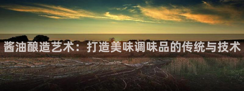 彩神官方登录：酱油酿造艺术：打造美味调味品的传统与技术