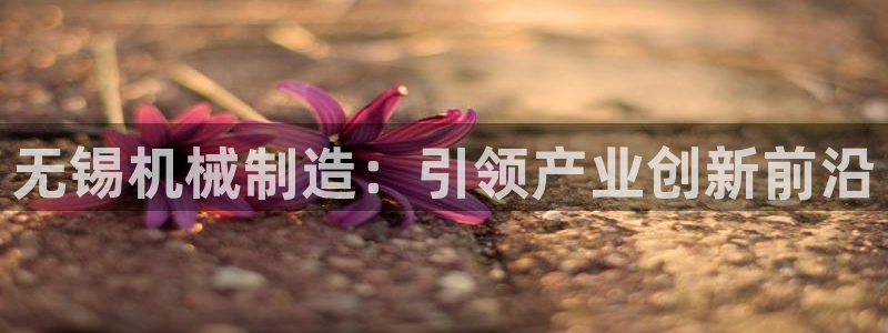 彩神v8首页