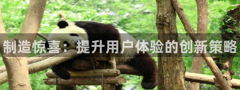 彩神v8平台正规吗安全吗：制造惊喜：提升用户体验的创新策略