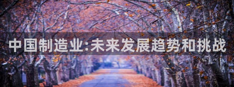 彩神怎么样可以提现：中国制造业:未来发展趋势和挑战