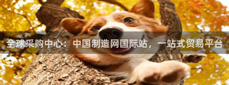彩神vip购彩大厅下载：全球采购中心：中国制造网国际站，一站式贸易平台