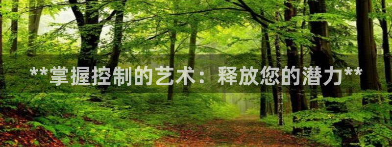 彩神赢的钱是哪里来的：**掌握控制的艺术：释放您的潜力**