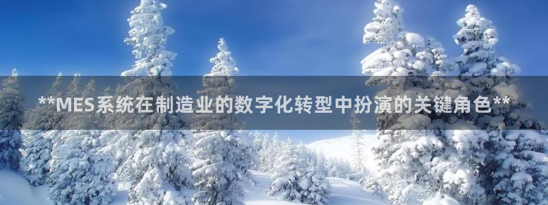 彩神v8平台正规吗安全吗：**MES系统在制造业的数字化转型中扮演的关键角色**