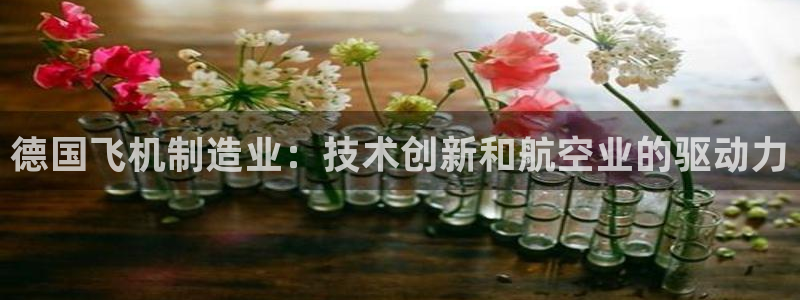 彩神大发cp：德国飞机制造业：技术创新和航空业的驱动力
