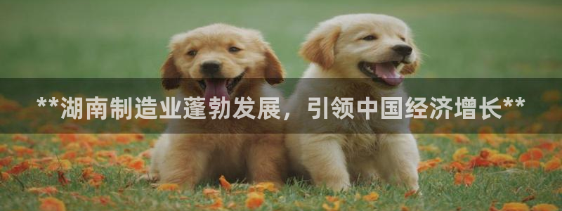彩神团队是真的吗