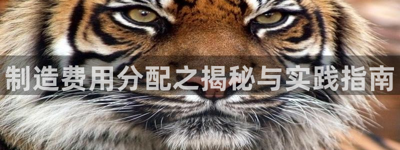 彩神ix平台：制造费用分配之揭秘与实践指南