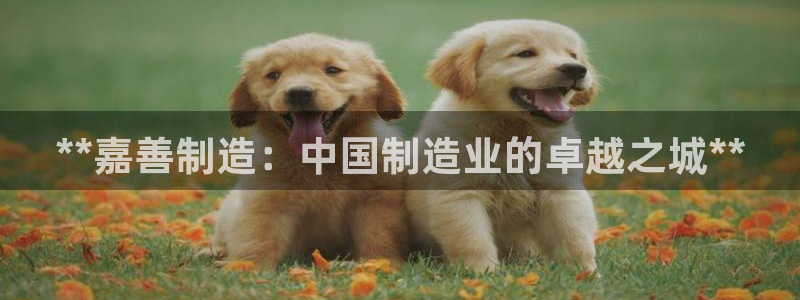 彩神vlll官网网上购彩：**嘉善制造：中国制造业的卓越之城**