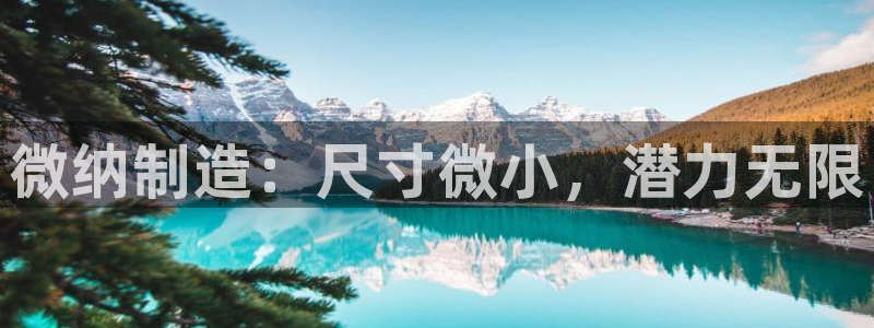 彩神vip购彩