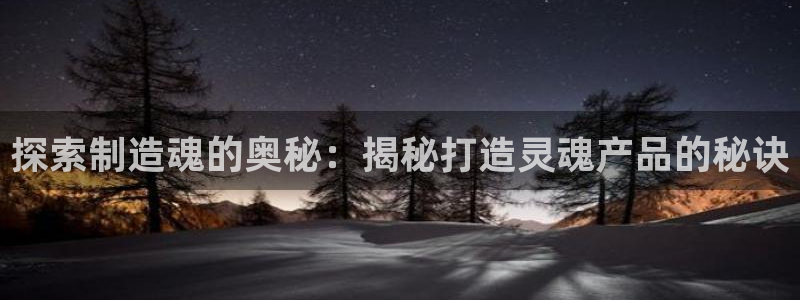 彩神v8平台正规吗可靠吗：探索制造魂的奥秘：揭秘打造灵魂产品