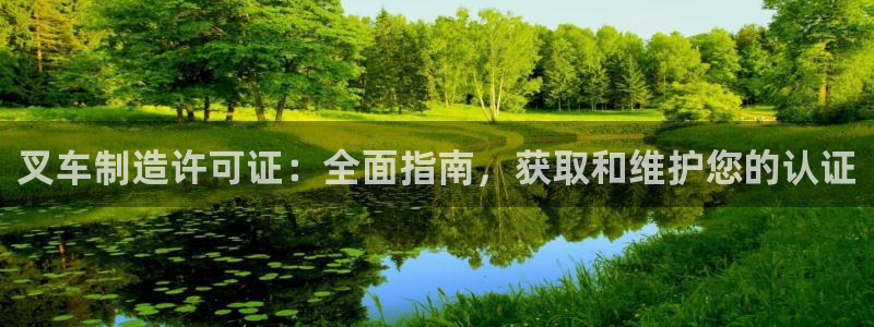 彩神8官网下：叉车制造许可证：全面指南，获取和维护您的认证