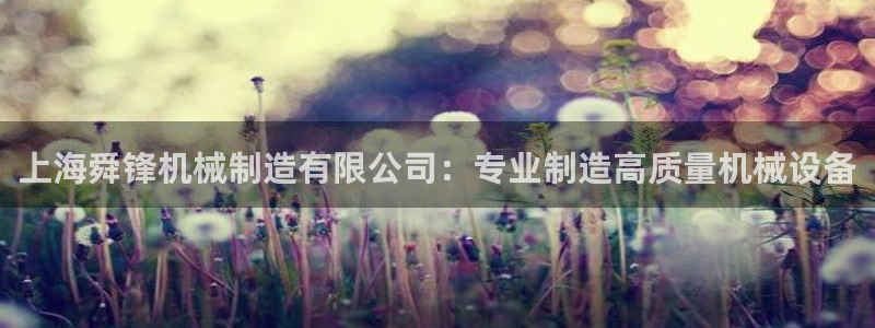 彩神平台是真的吗：上海舜锋机械制造有限公司：专业制造高质量机