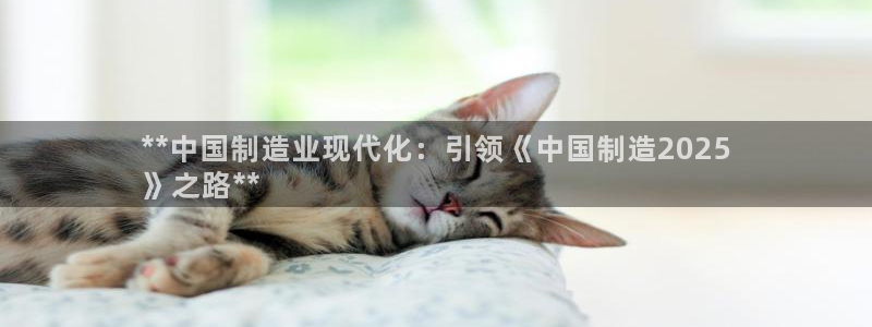 彩神网合法吗：**中国制造业现代化：引领《中国制造2025
》之路**