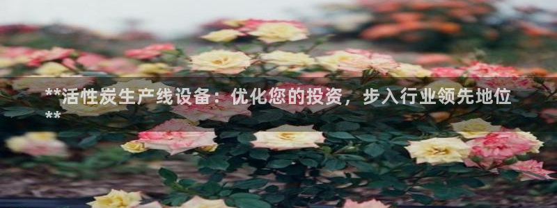 彩神邀请码:00-00-3267：**活性炭生产线设备：优化您的投资，步入行业领先地位
**