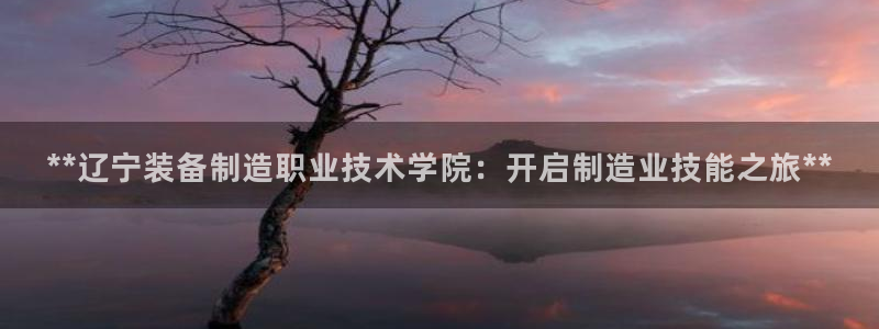 彩神是什么平台：**辽宁装备制造职业技术学院：开启制造业技能之旅**