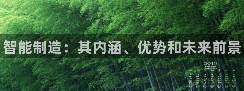彩神购彩-购彩大厅入口老版：智能制造：其内涵、优势和未来前景