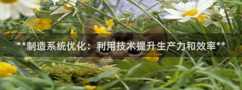 彩神vip购彩：**制造系统优化：利用技术提升生产力和效率**