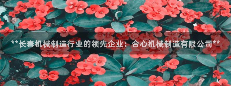 彩神v8下载网址：**长春机械制造行业的领先企业：合心机械制造有限公司**
