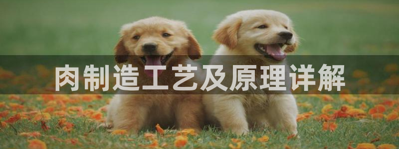 彩神赢钱了吗知乎：肉制造工艺及原理详解
