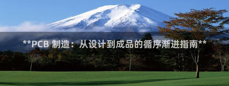 彩神争霸平台：**PCB 制造：从设计到成品的循序渐进指南**
