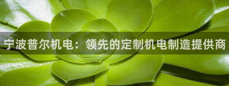 彩神VI首页：宁波普尔机电：领先的定制机电制造提供商