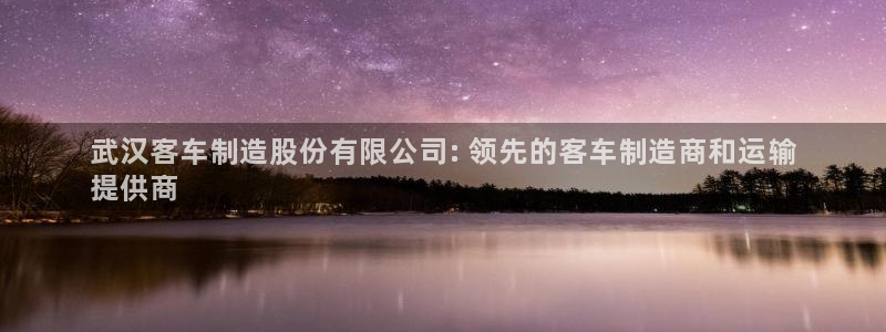 彩神购彩-购彩大厅入口老版：武汉客车制造股份有限公司: 领先的客车制造商和运输
提供商