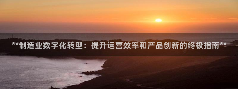 彩神数码科技有限公司：**制造业数字化转型：提升运营效率和产品创新的终极指南**