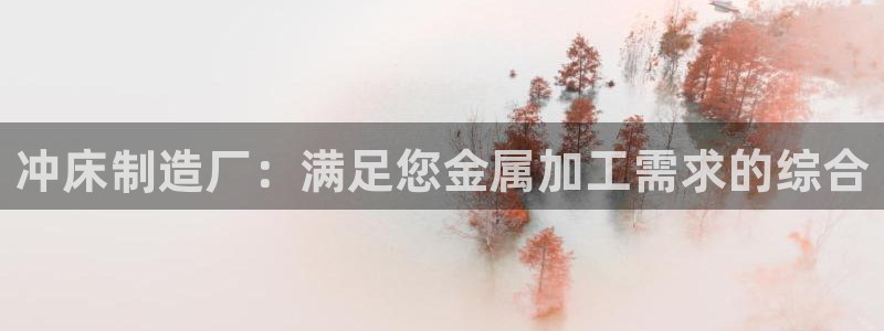 彩神赢钱了吗：冲床制造厂：满足您金属加工需求的综合