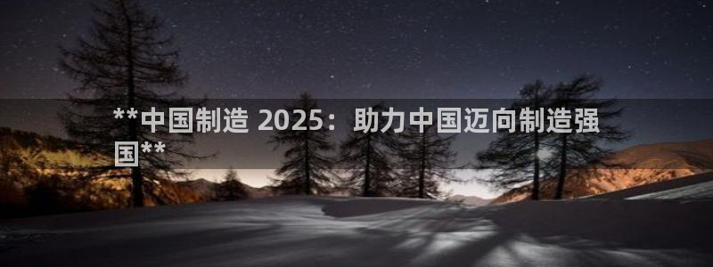 彩神ix官网：**中国制造 2025：助力中国迈向制造强
国**
