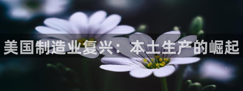 彩神ios下载：美国制造业复兴：本土生产的崛起
