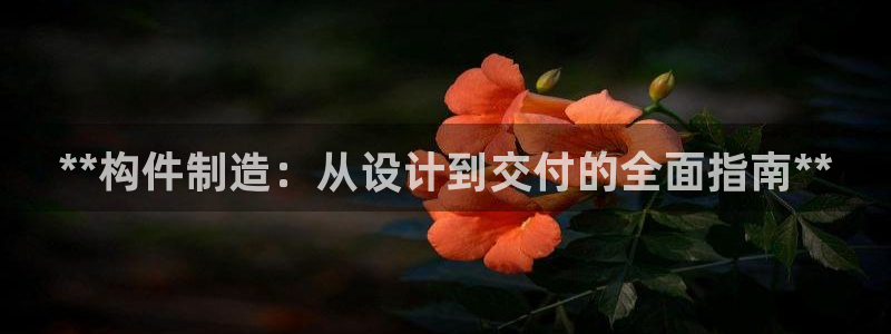 彩神Vll：**构件制造：从设计到交付的全面指南**