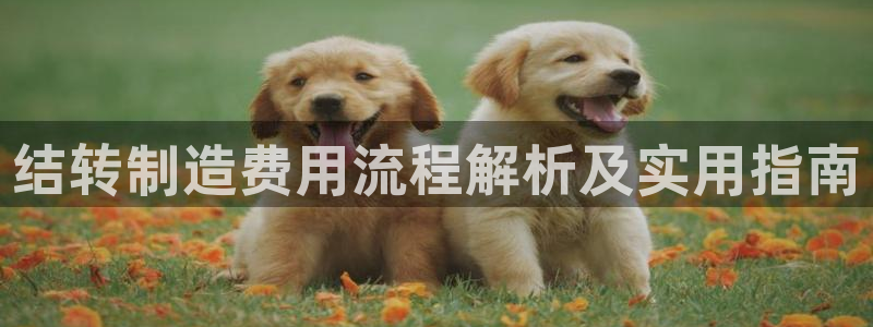 彩神官方登录：结转制造费用流程解析及实用指南